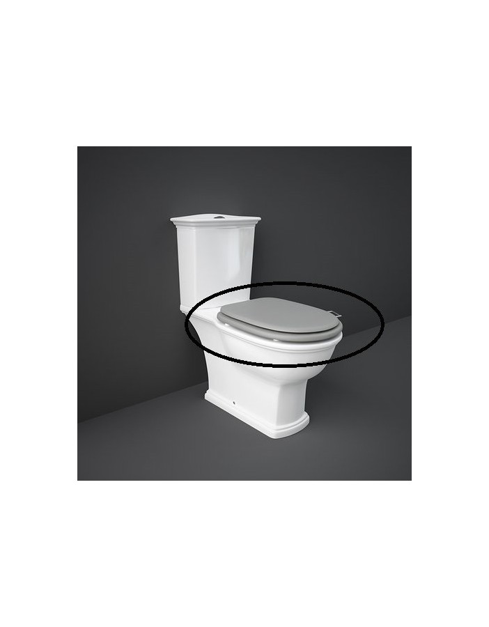 RAK CERAMICS Washington Deska WC wolnoopadająca lakierowana, biały mat